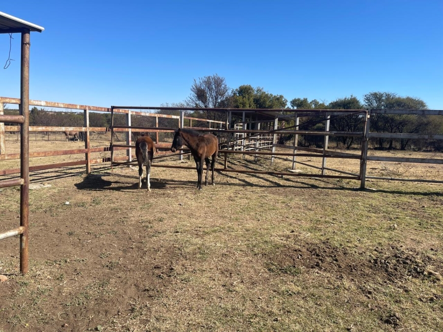 Commercial Property for Sale in Swartruggens North West